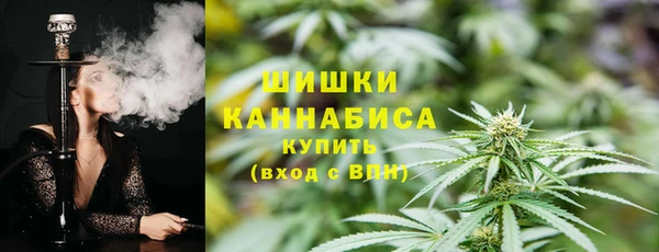 ГАЛЛЮЦИНОГЕННЫЕ ГРИБЫ Магадан
