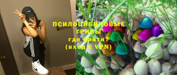 ГАЛЛЮЦИНОГЕННЫЕ ГРИБЫ Магадан