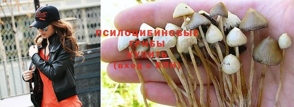 ГАЛЛЮЦИНОГЕННЫЕ ГРИБЫ Магадан