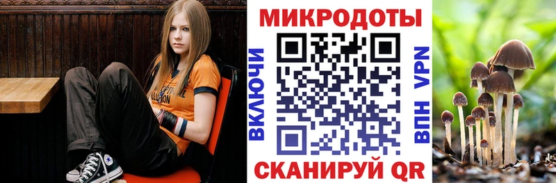 omg сайт Белокуриха Псилоцибиновые грибы прущие грибы