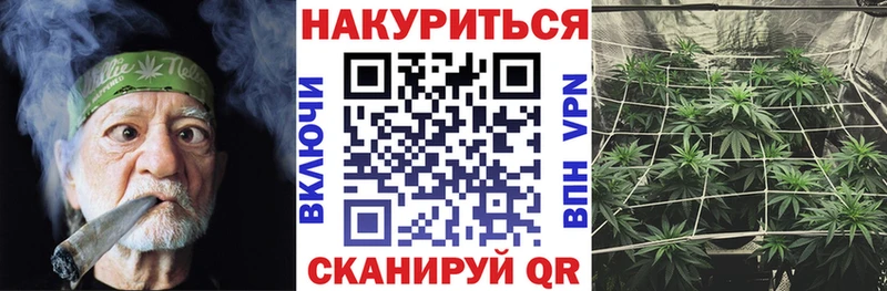 Канабис гибрид  Белокуриха 